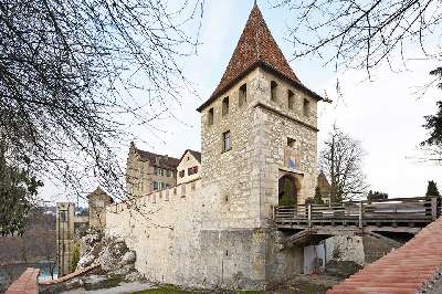 Schloss Laufen am Rheinfall, Instandsetzung der Schlossmauern